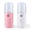Mini Portable Facial Mister